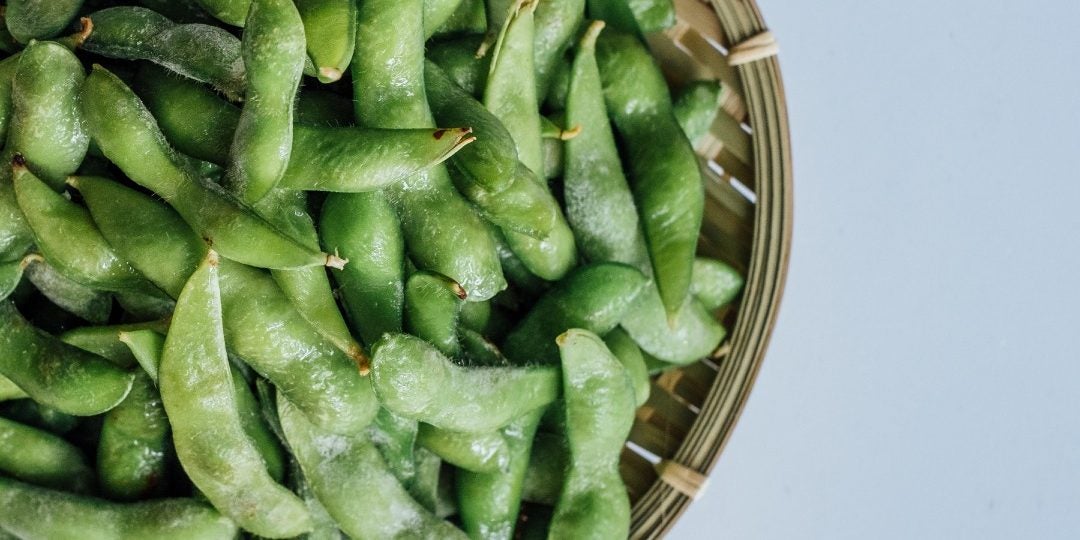 tipos-de-fibras-alimentares tipos-de-fibras-alimentares