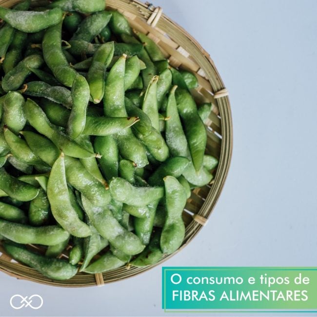 tipos-de-fibras-alimentares tipos-de-fibras-alimentares