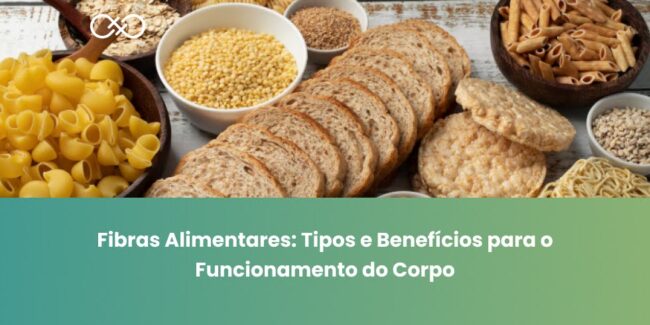Fibras Alimentares: Tipos e Benefícios para o Funcionamento do Corpo Fibras Alimentares: Tipos e Benefícios para o Funcionamento do Corpo